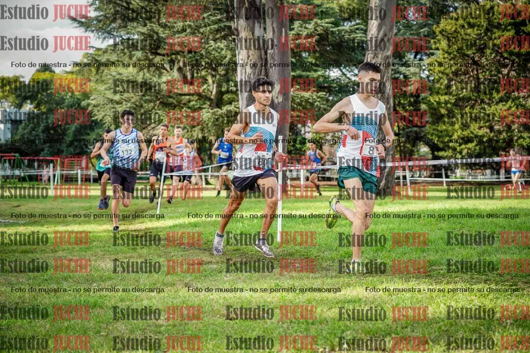 Fotos en el circuito
