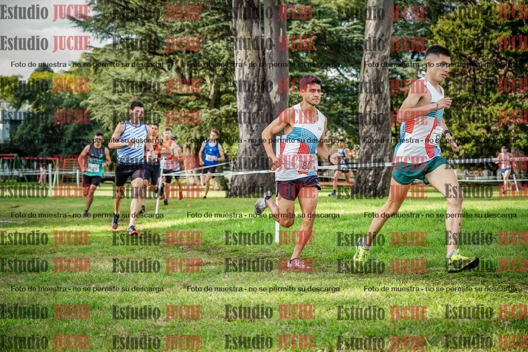 Fotos en el circuito