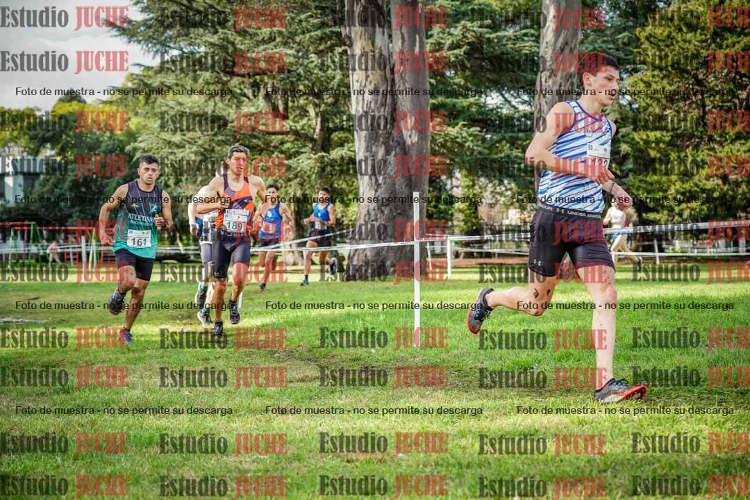 Fotos en el circuito