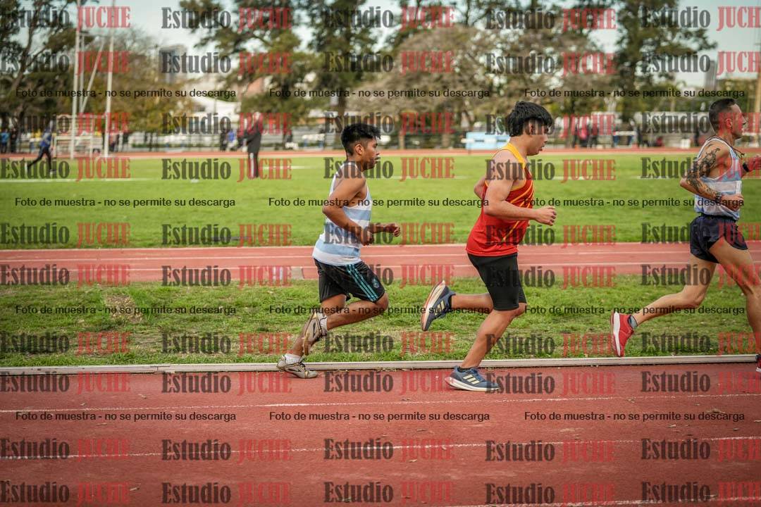 Fotos de los 3000 m llanos de varones