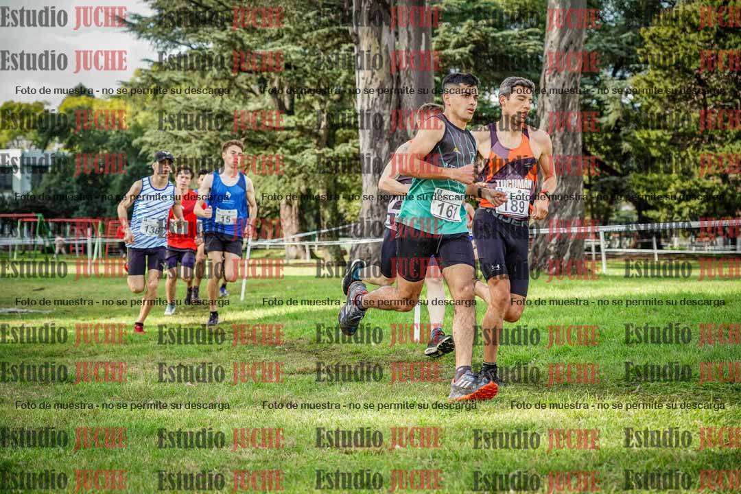Fotos en el circuito