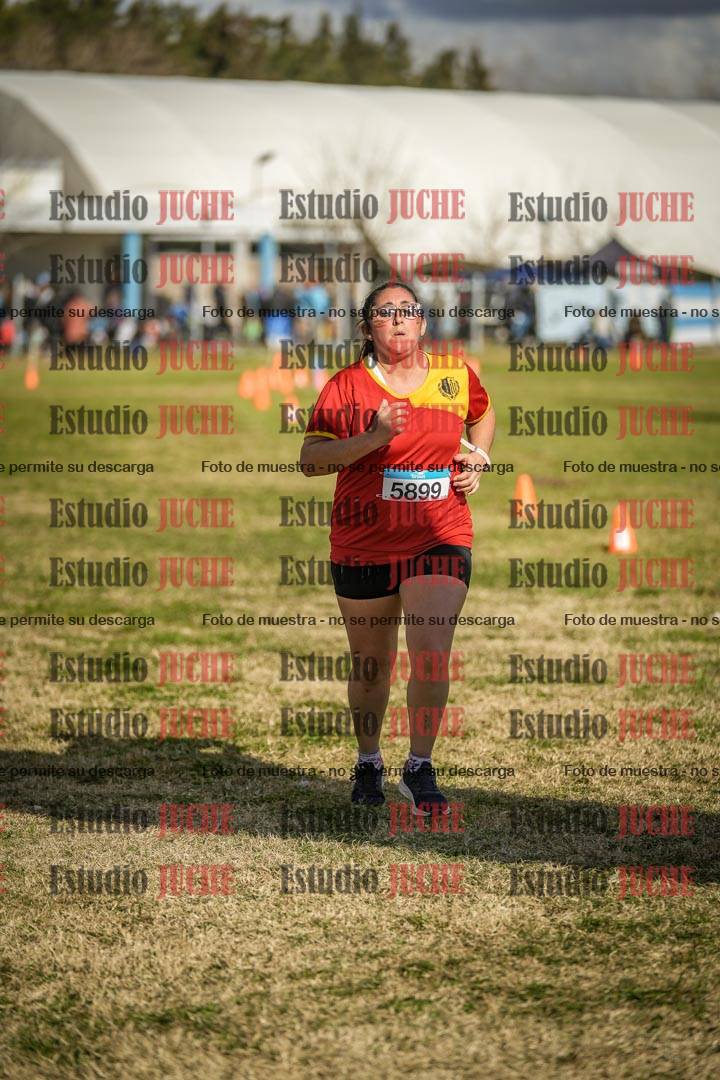 Fotos de las llegadas