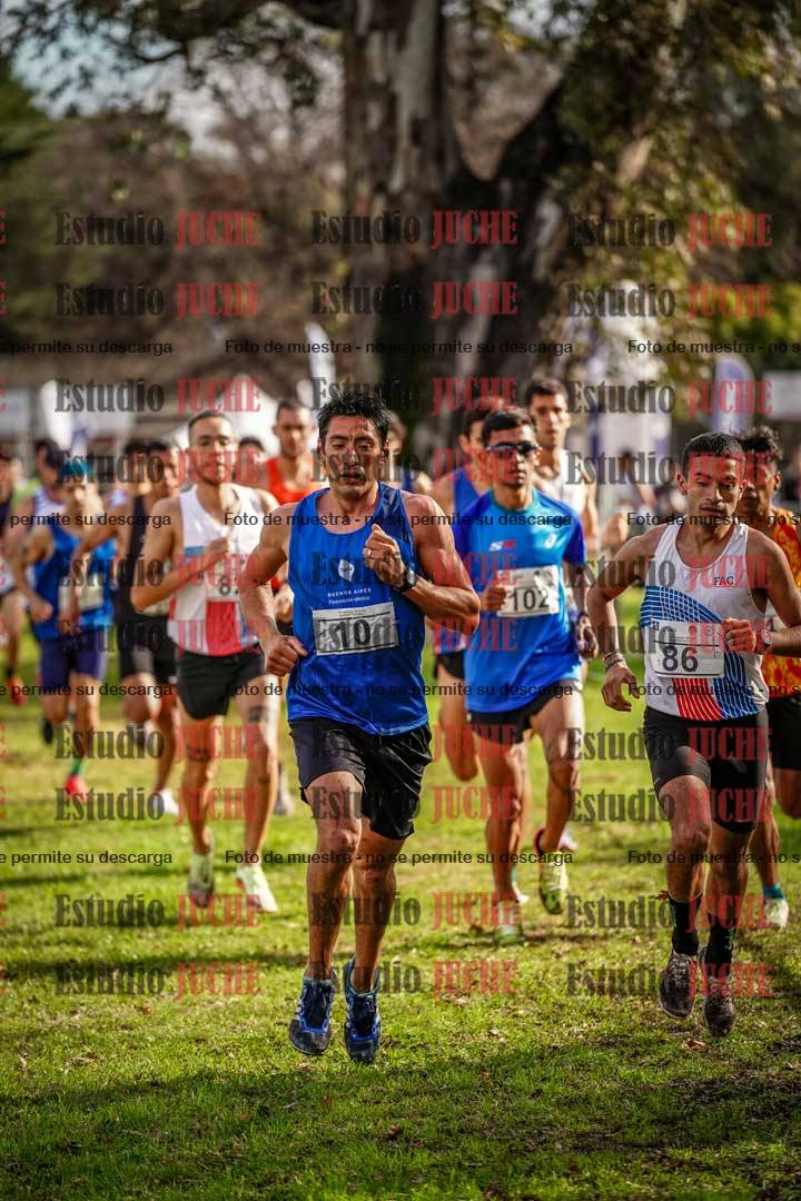 Fotos en el circuito