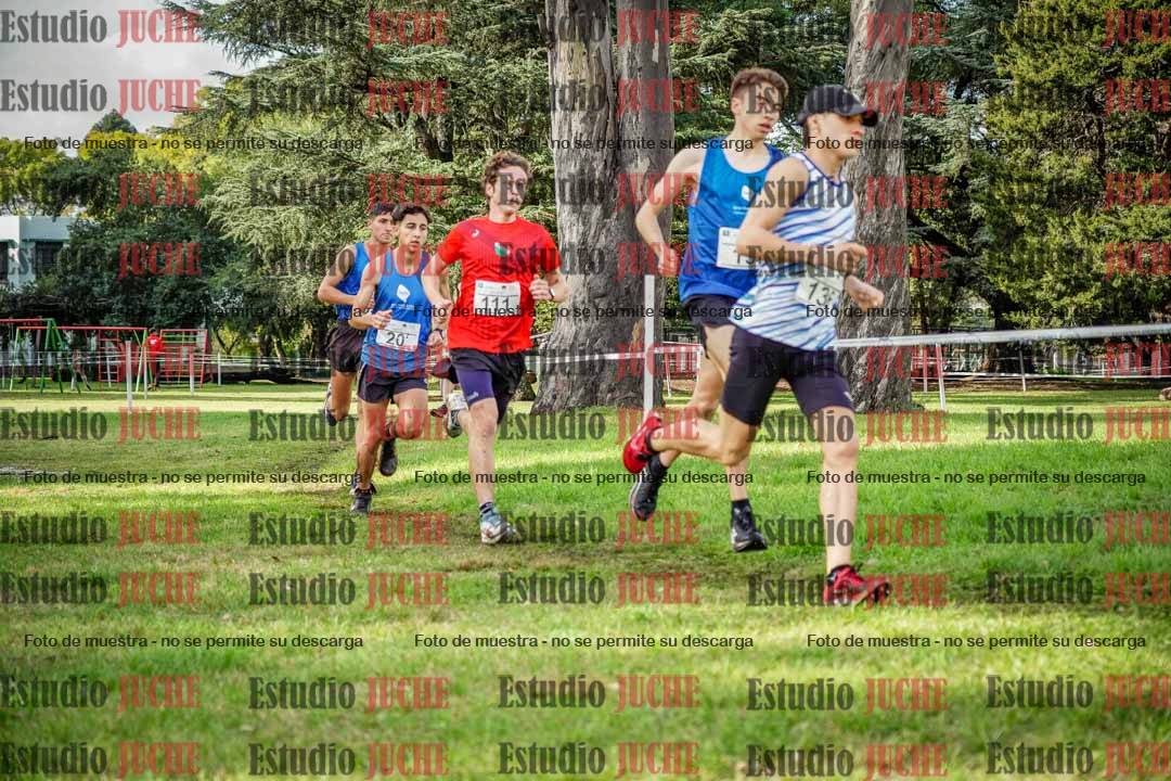 Fotos en el circuito