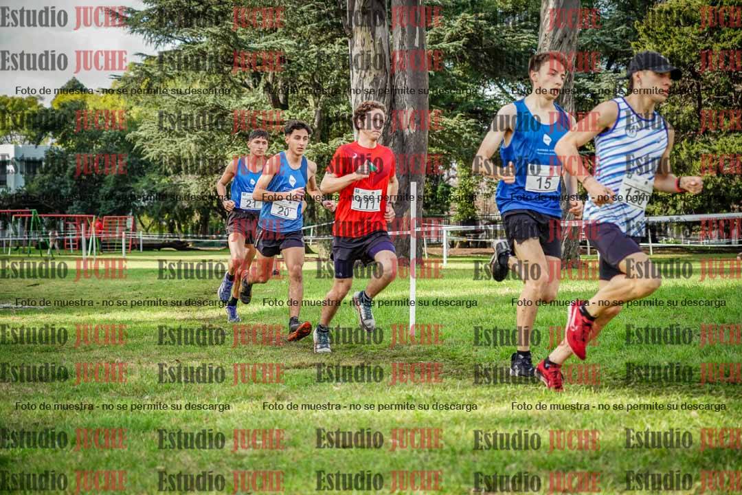 Fotos en el circuito