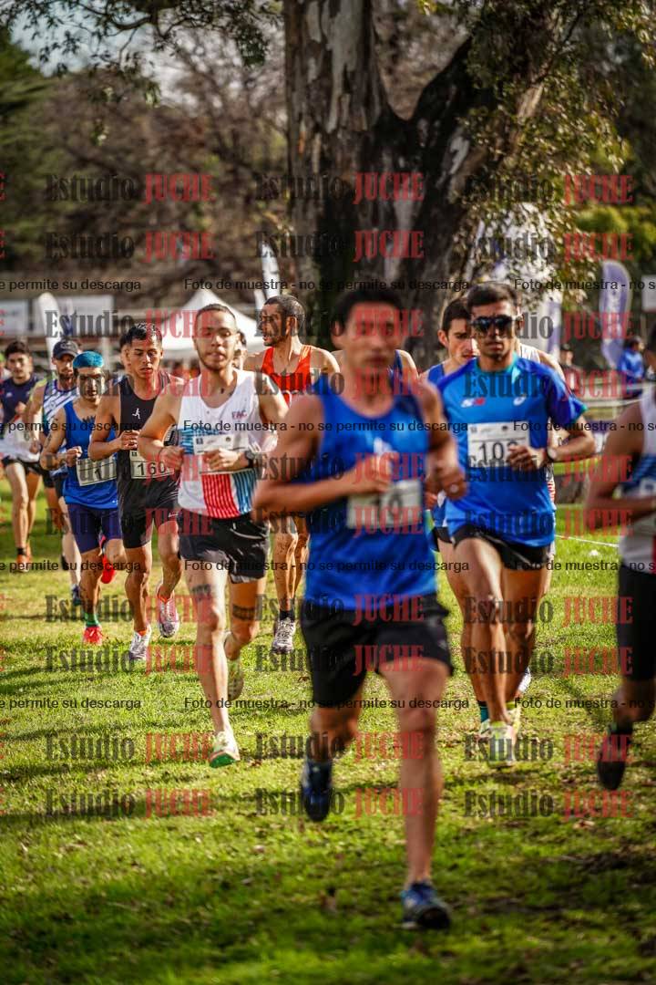 Fotos en el circuito