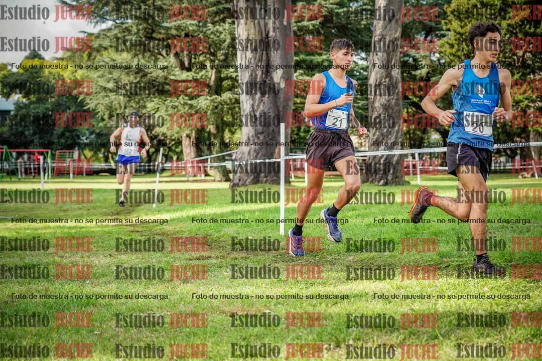 Fotos en el circuito