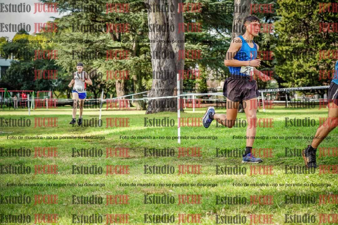 Fotos en el circuito