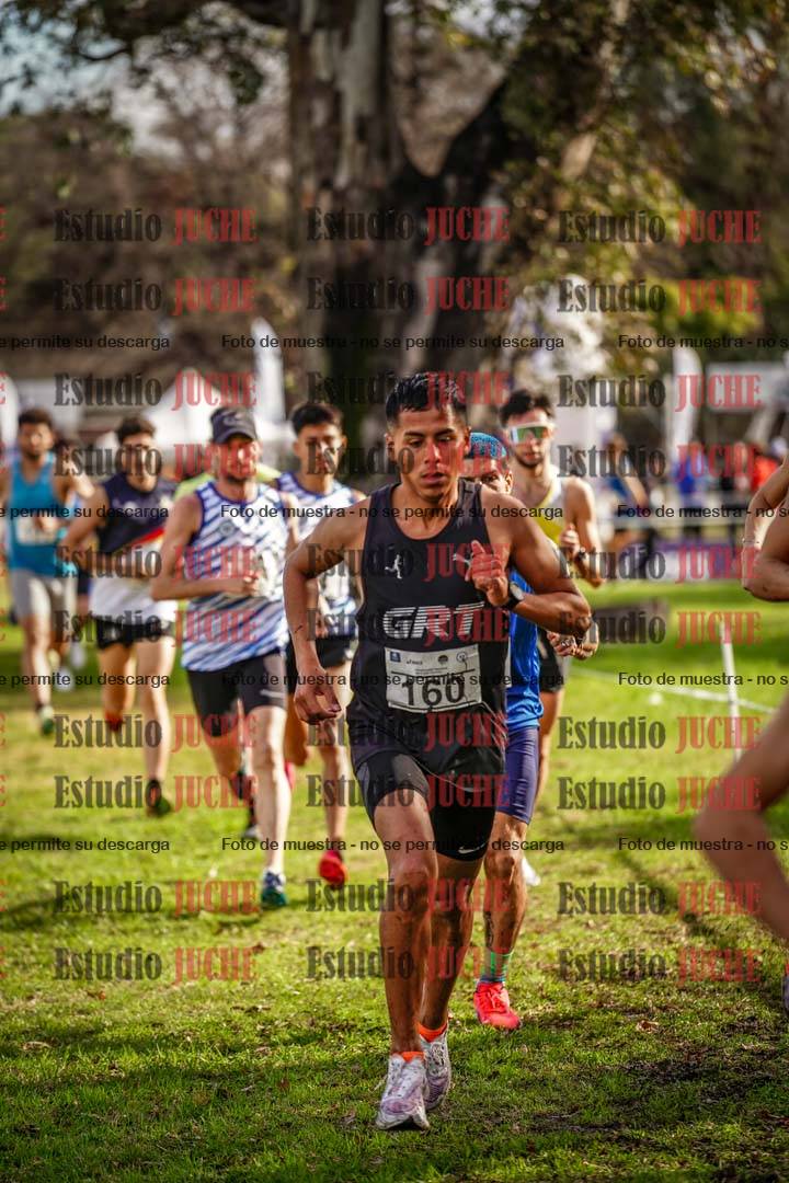 Fotos en el circuito