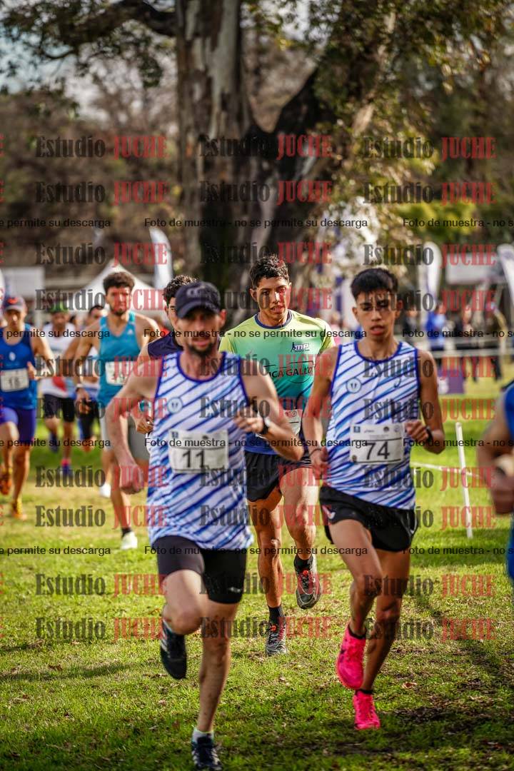 Fotos en el circuito