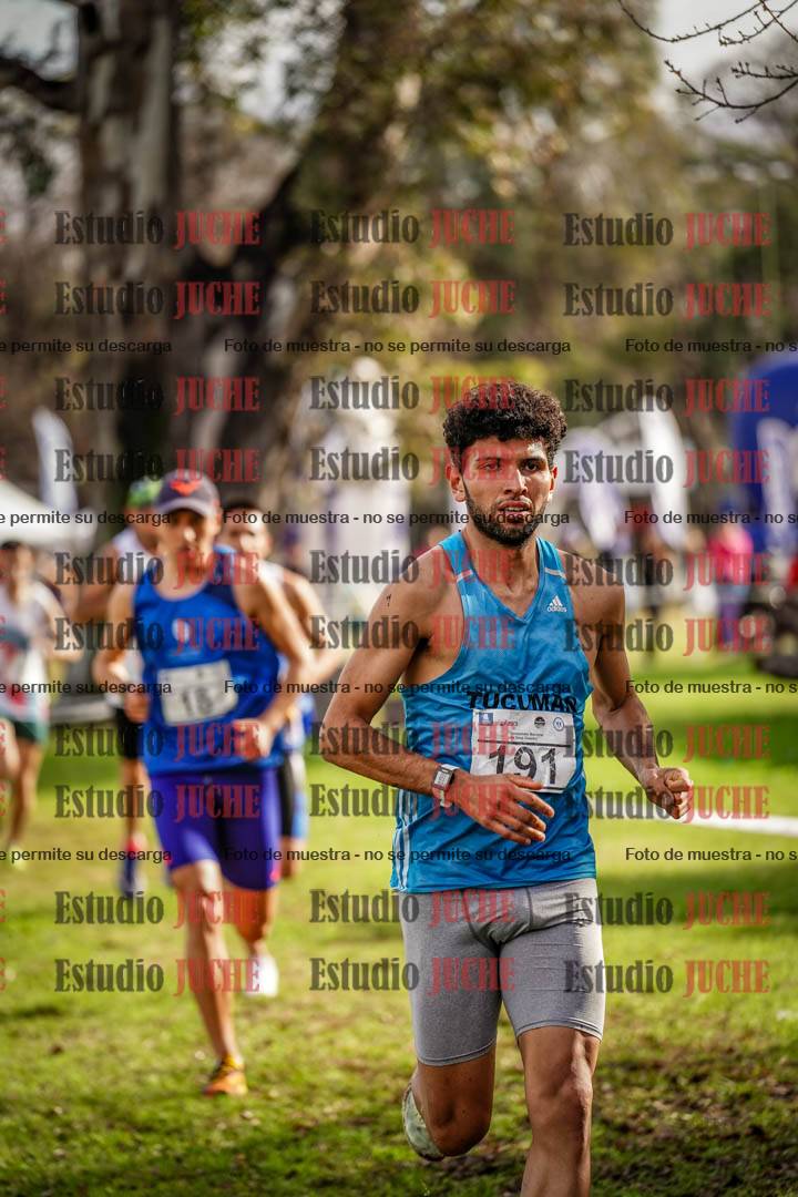 Fotos en el circuito