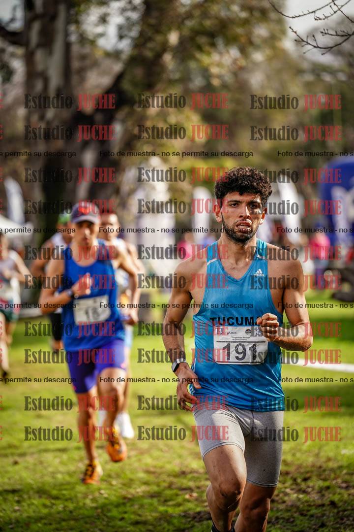 Fotos en el circuito