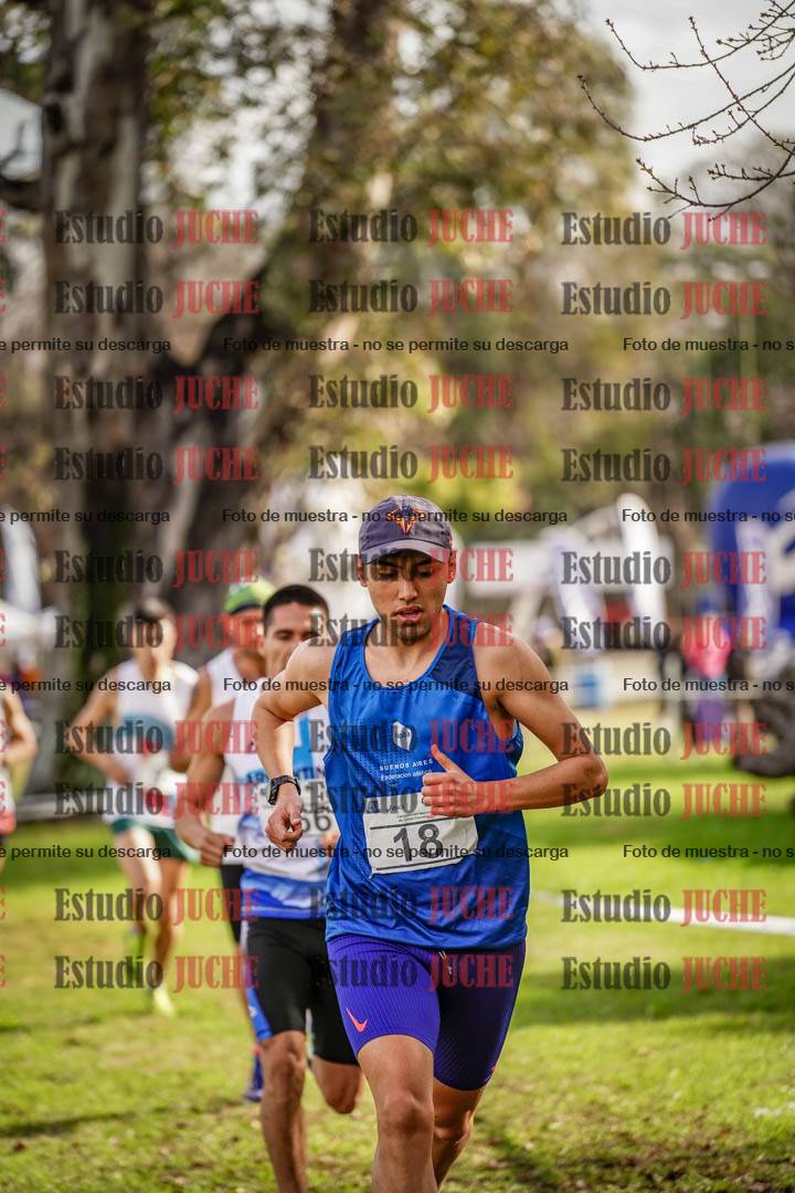 Fotos en el circuito