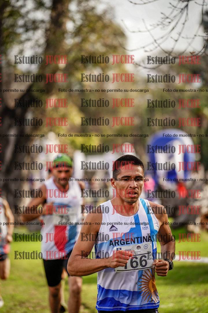 Fotos en el circuito