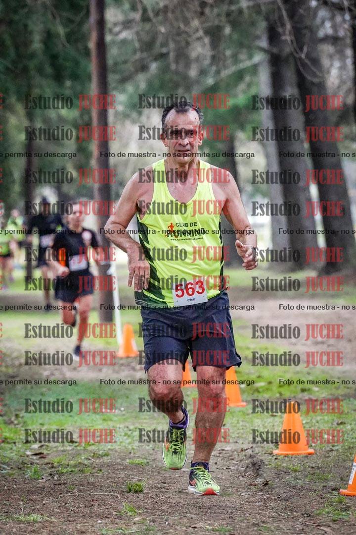 Fotos en el circuito