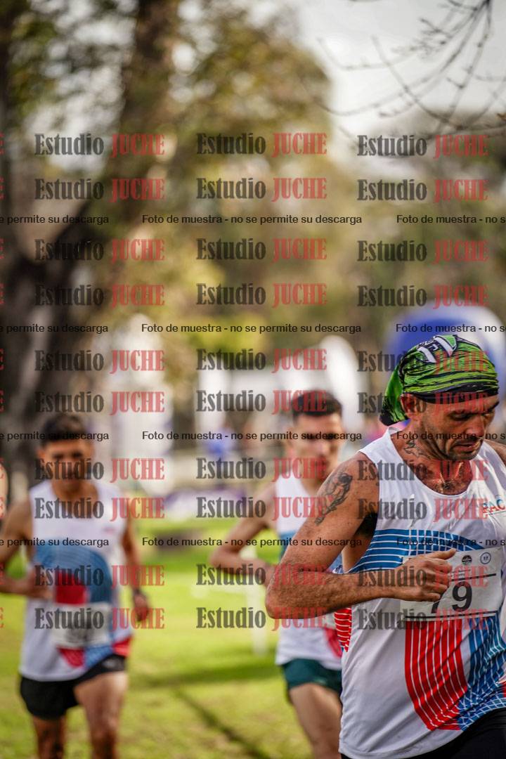 Fotos en el circuito