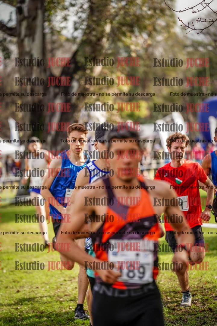 Fotos en el circuito
