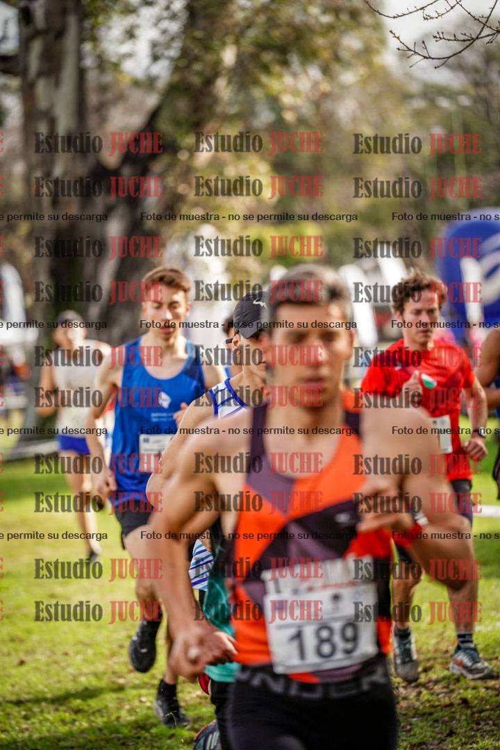 Fotos en el circuito