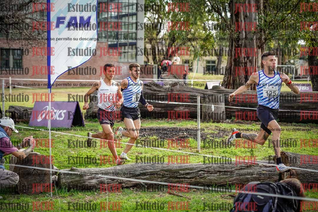 Fotos en el circuito