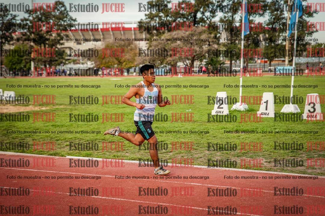Fotos de los 3000 m llanos de varones