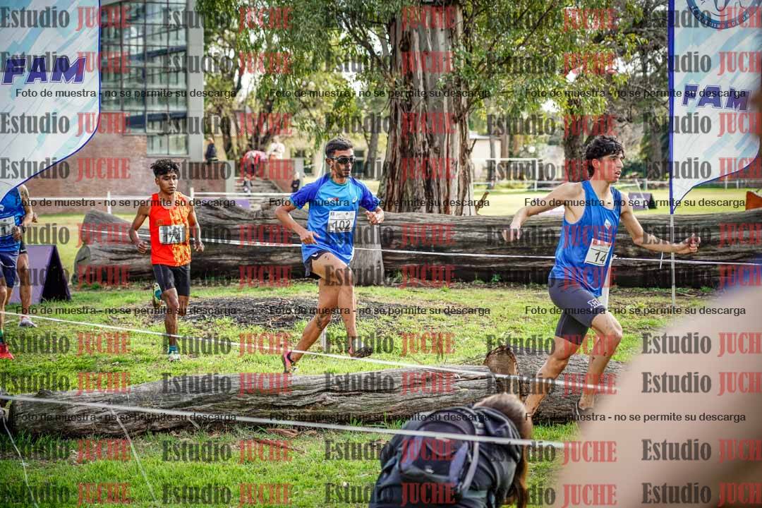 Fotos en el circuito