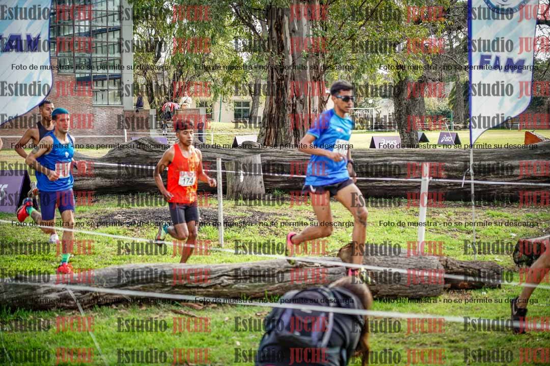 Fotos en el circuito