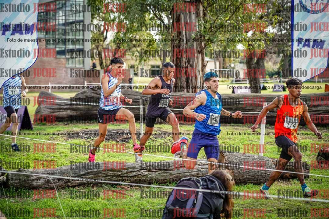 Fotos en el circuito
