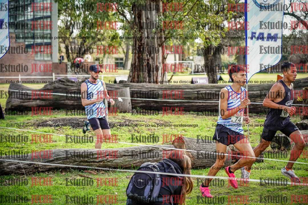 Fotos en el circuito