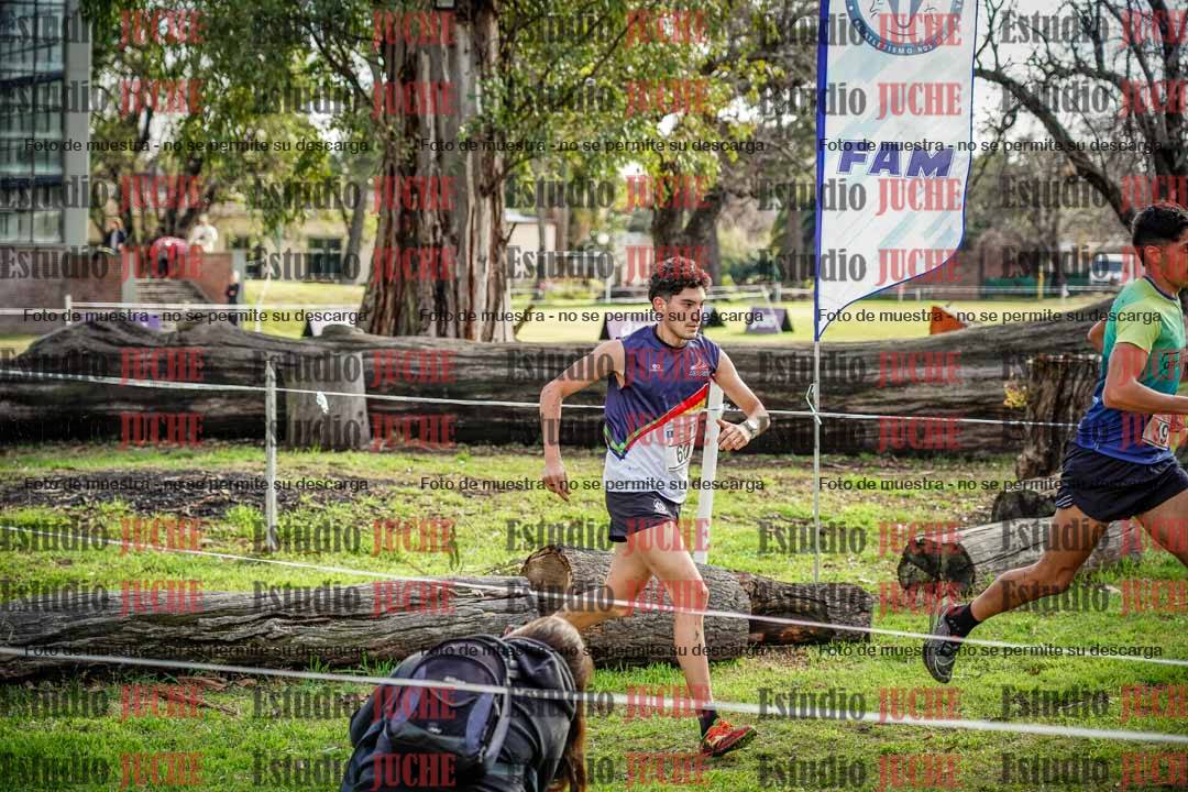Fotos en el circuito