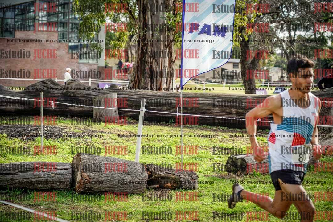 Fotos en el circuito