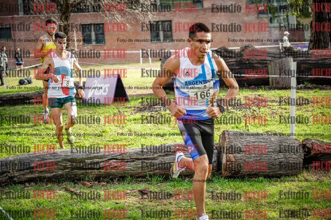 Fotos en el circuito