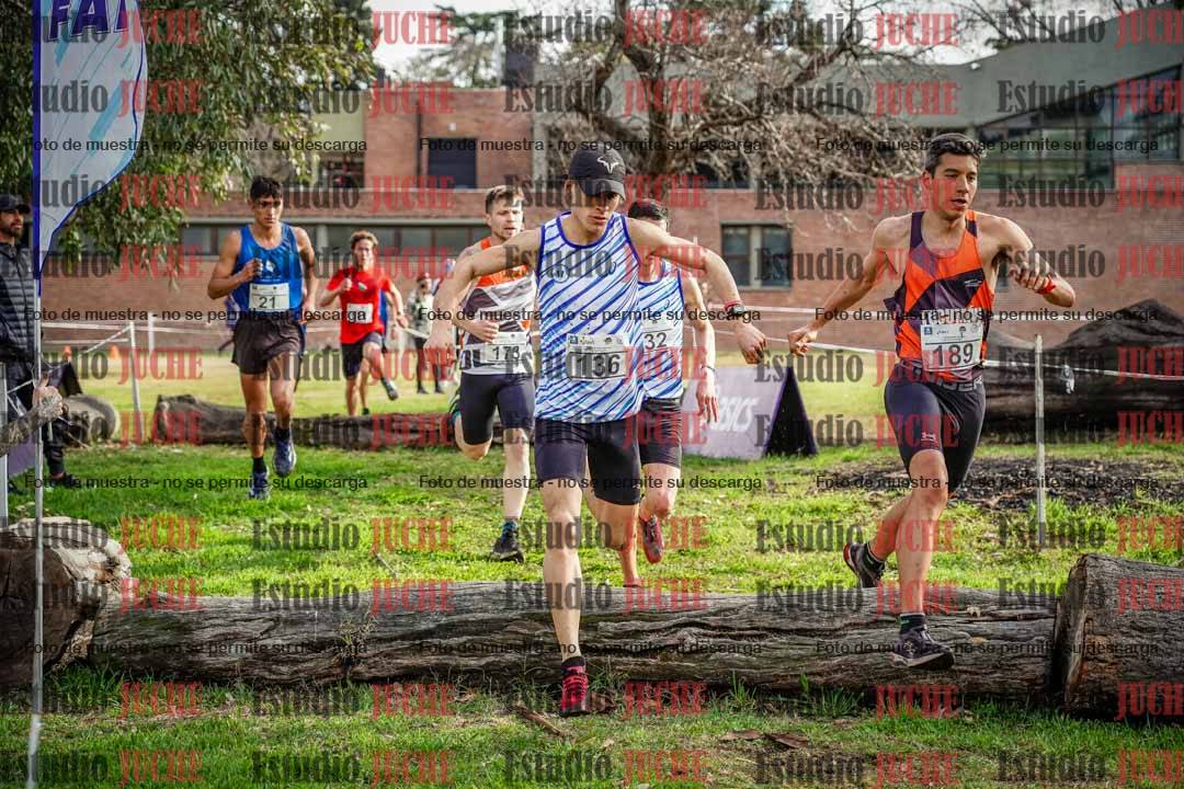 Fotos en el circuito