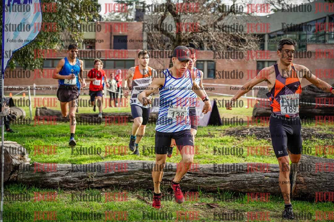 Fotos en el circuito