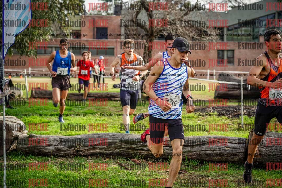 Fotos en el circuito