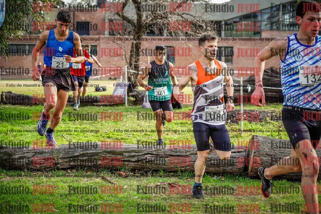 Fotos en el circuito
