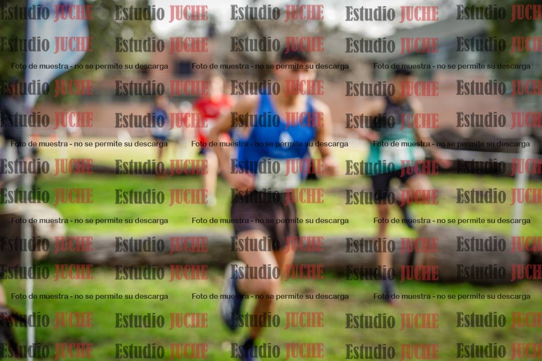 Fotos en el circuito