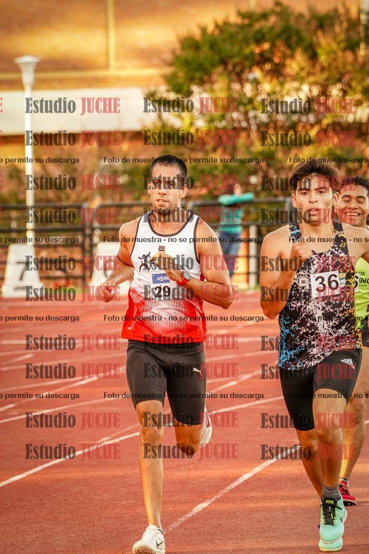 Fotos de los 3000 m llanos de varones