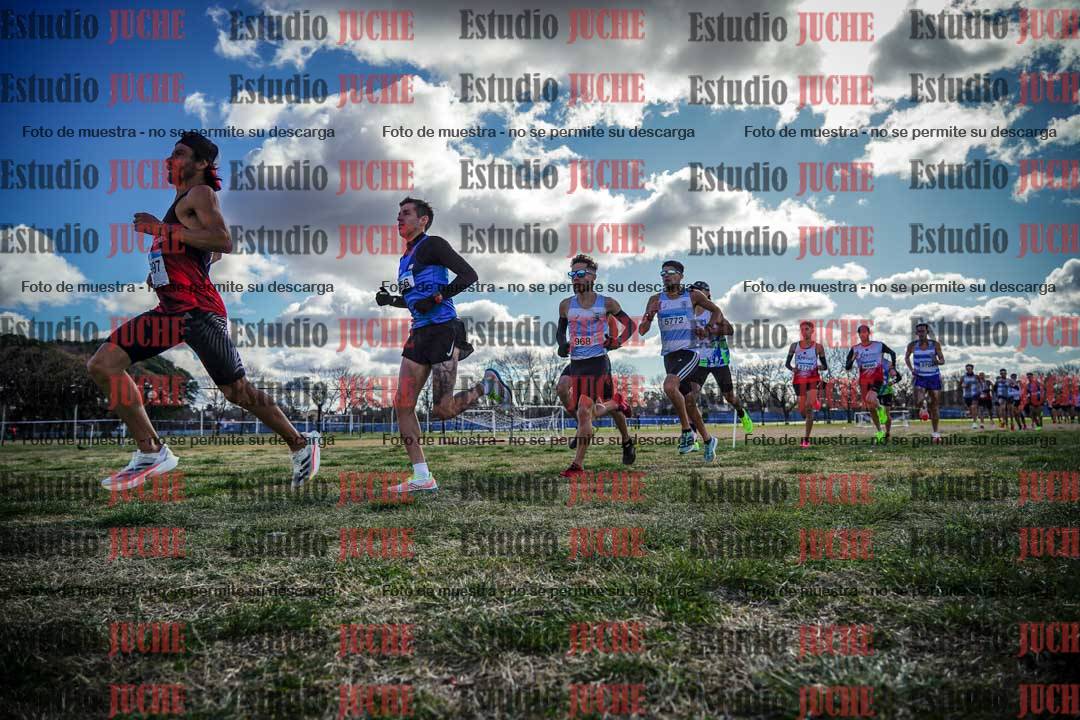 Fotos en el circuito
