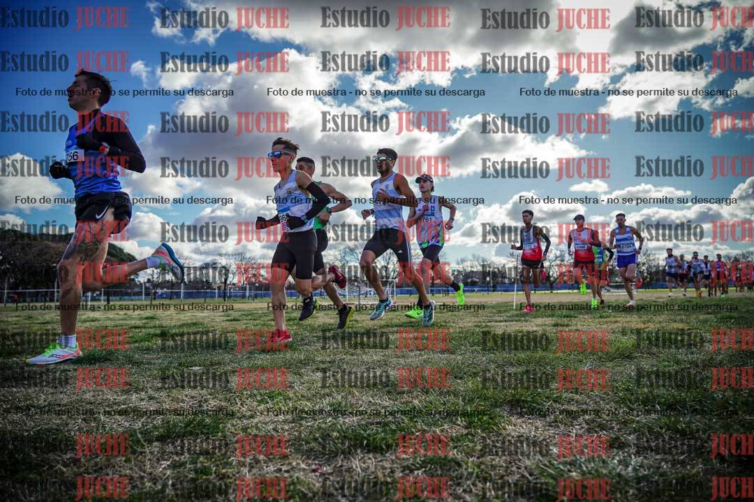 Fotos en el circuito