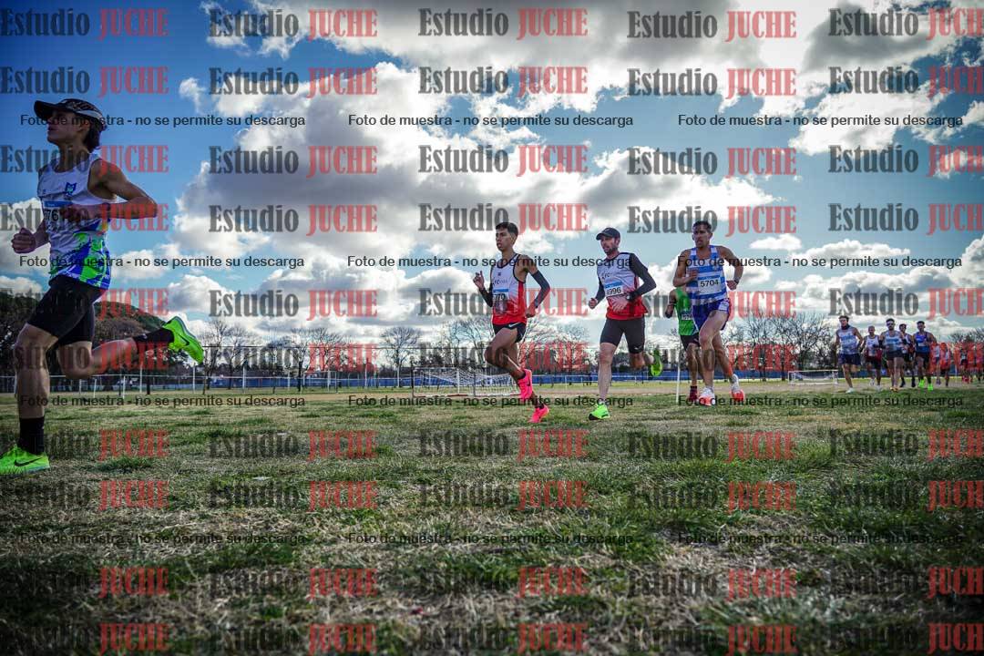 Fotos en el circuito