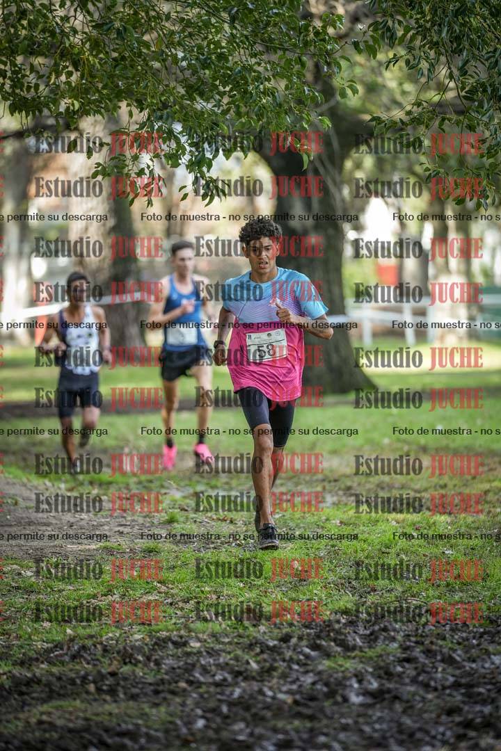 Fotos en el circuito
