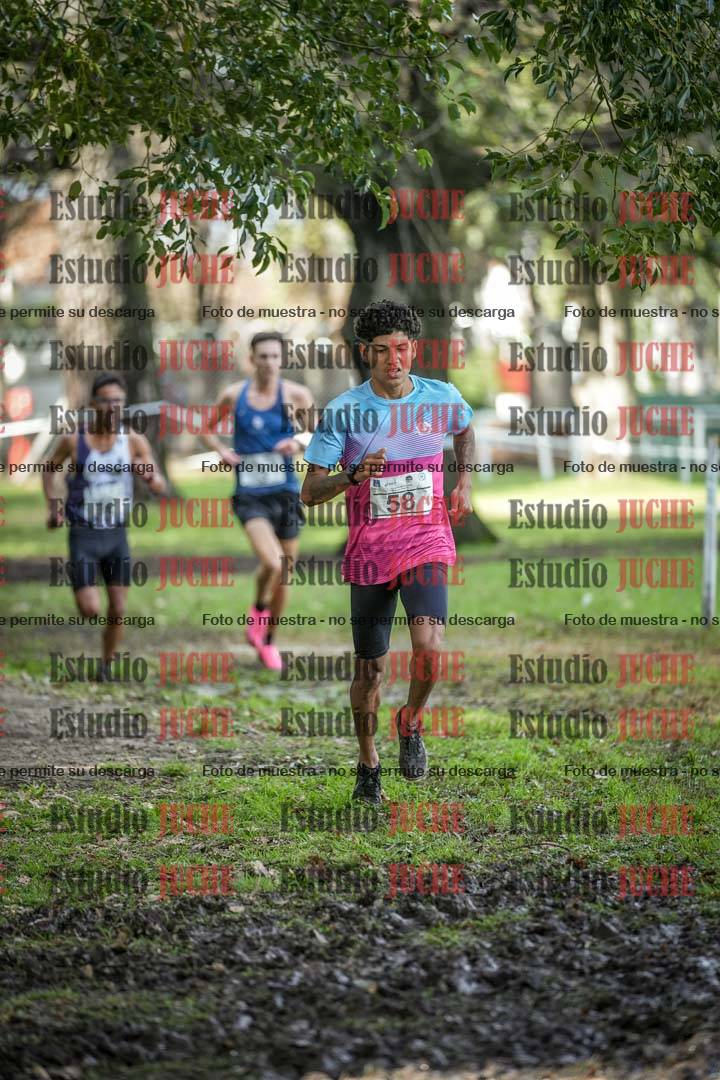 Fotos en el circuito