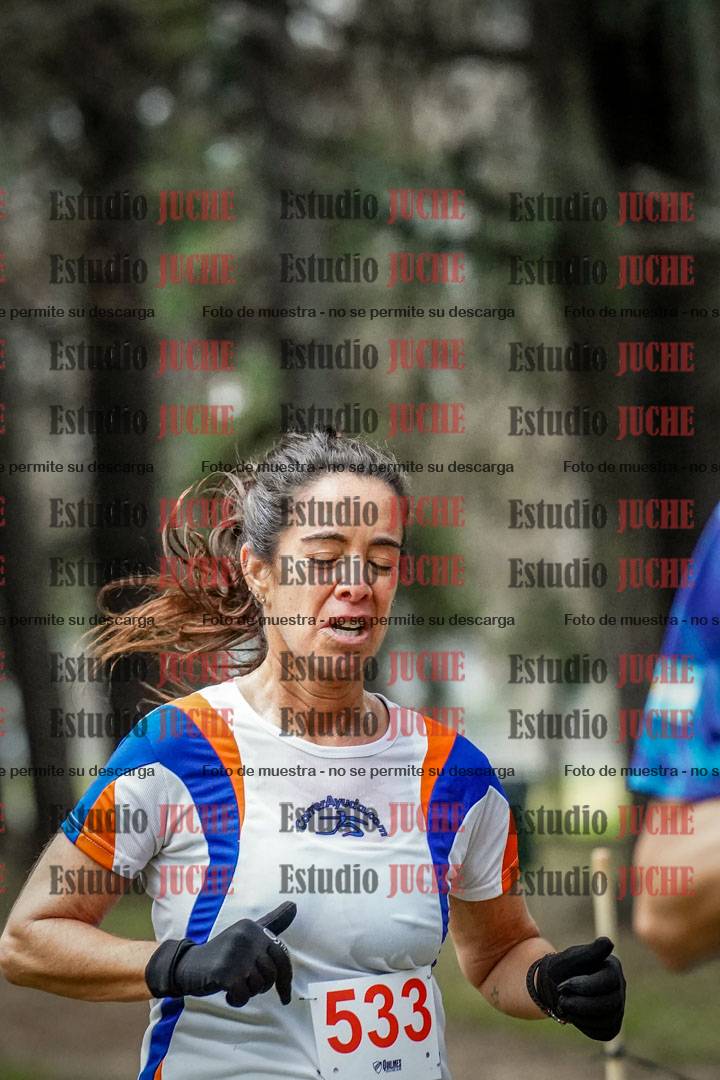 Fotos en el circuito