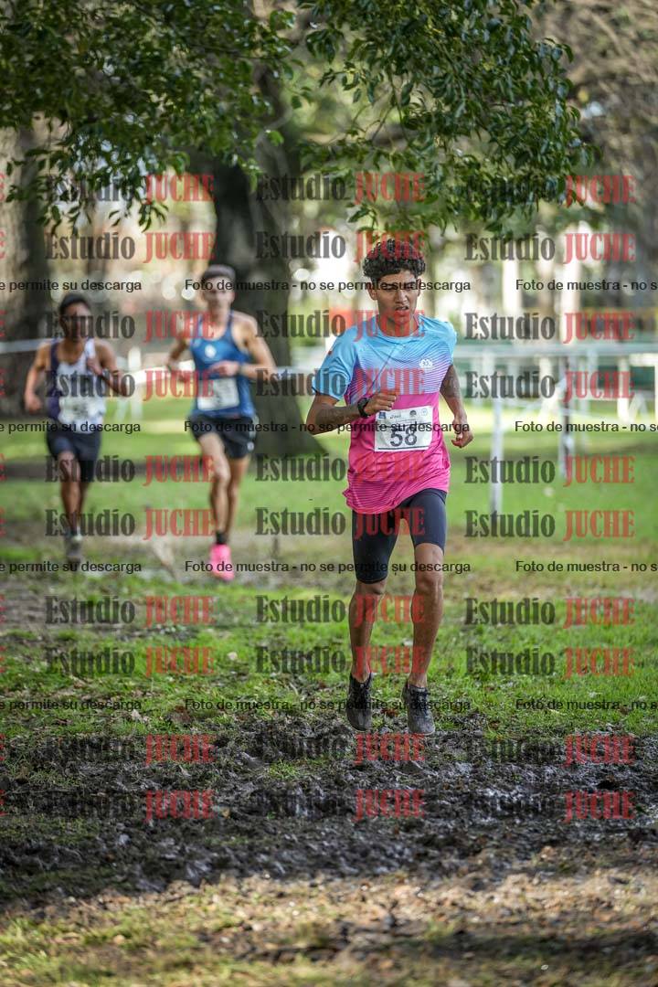 Fotos en el circuito