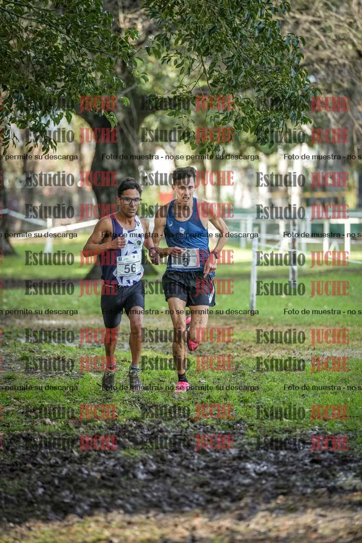 Fotos en el circuito