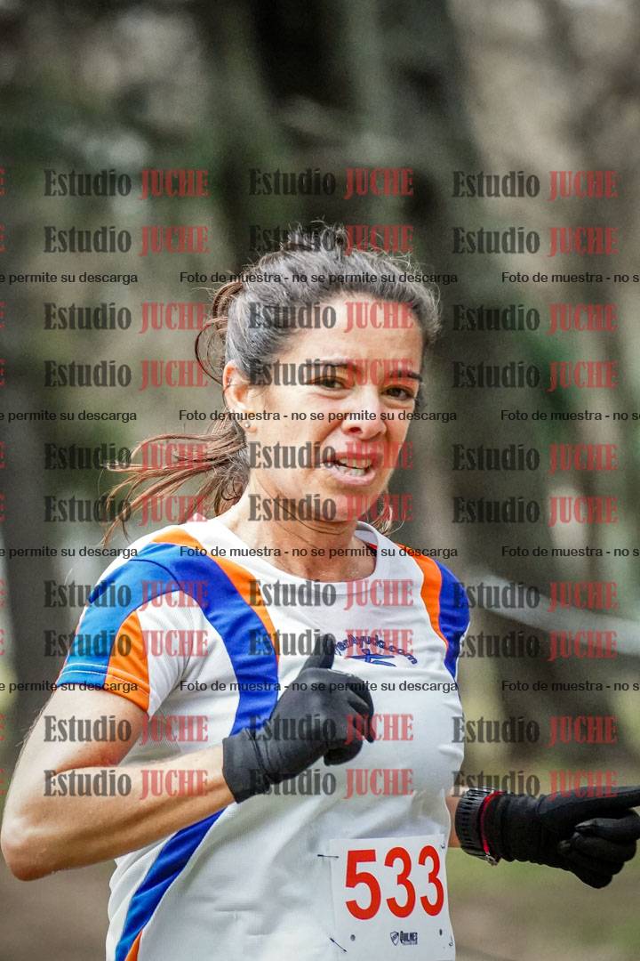 Fotos en el circuito
