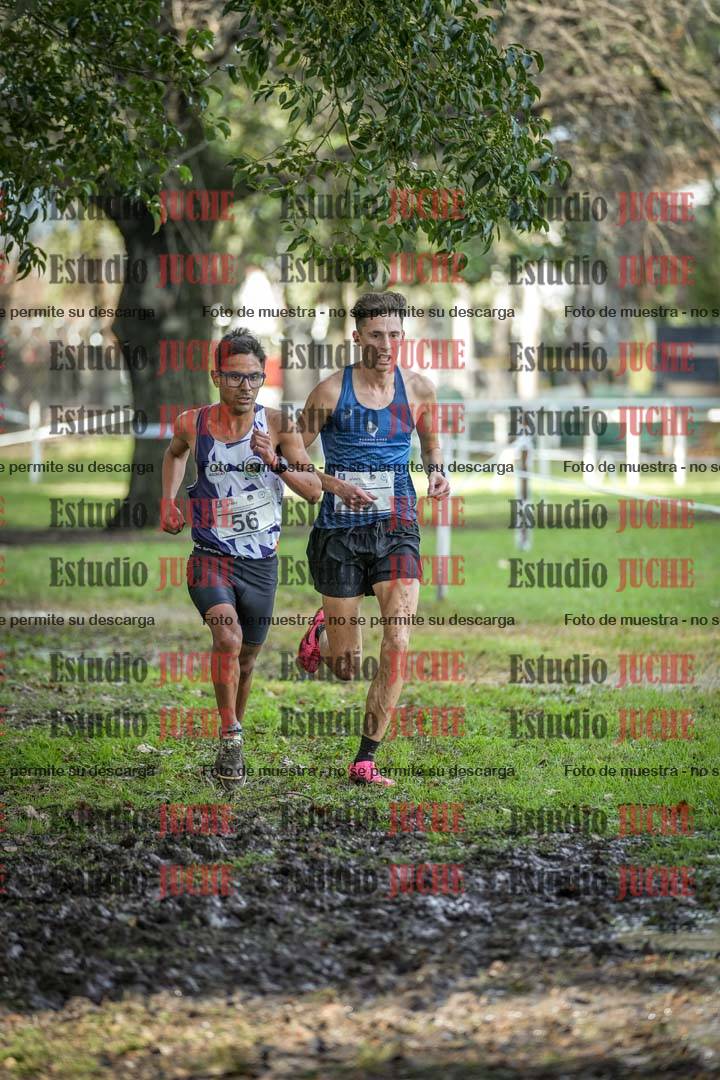 Fotos en el circuito