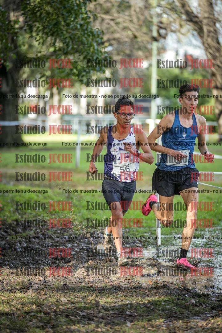 Fotos en el circuito