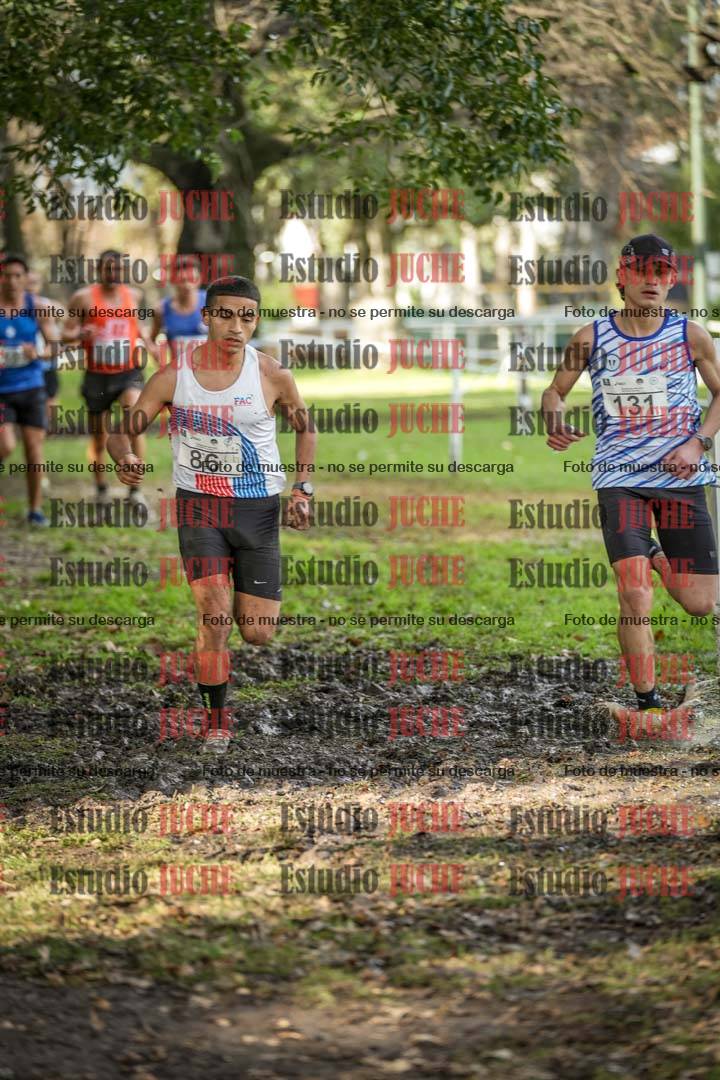 Fotos en el circuito