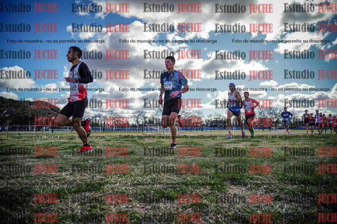 Fotos en el circuito